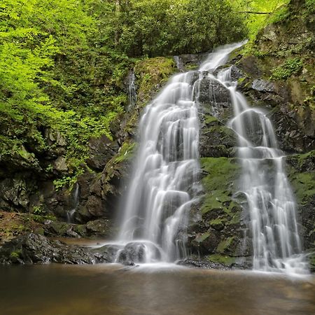 Apple Valley Hideaway, 1089 Of Free Attraction Tickets For Each Paid Day, Dollywood And More! Pigeon Forge Bagian luar foto