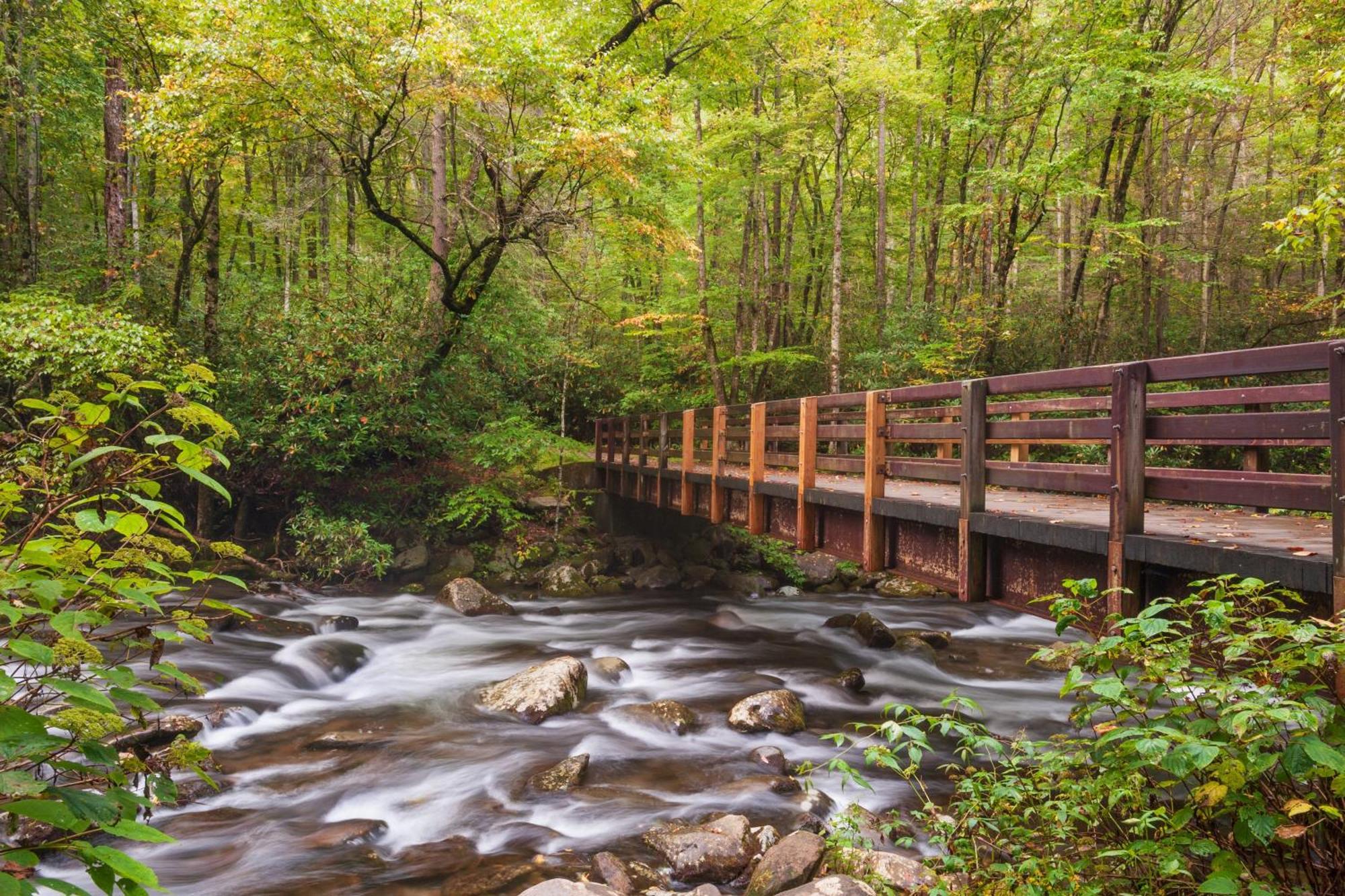 Apple Valley Hideaway, 1089 Of Free Attraction Tickets For Each Paid Day, Dollywood And More! Pigeon Forge Bagian luar foto
