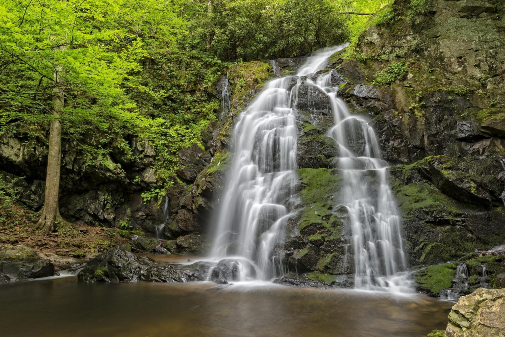 Apple Valley Hideaway, 1089 Of Free Attraction Tickets For Each Paid Day, Dollywood And More! Pigeon Forge Bagian luar foto